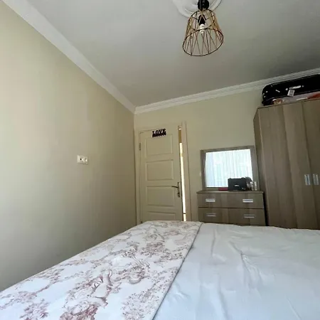 Halic * يالوفا